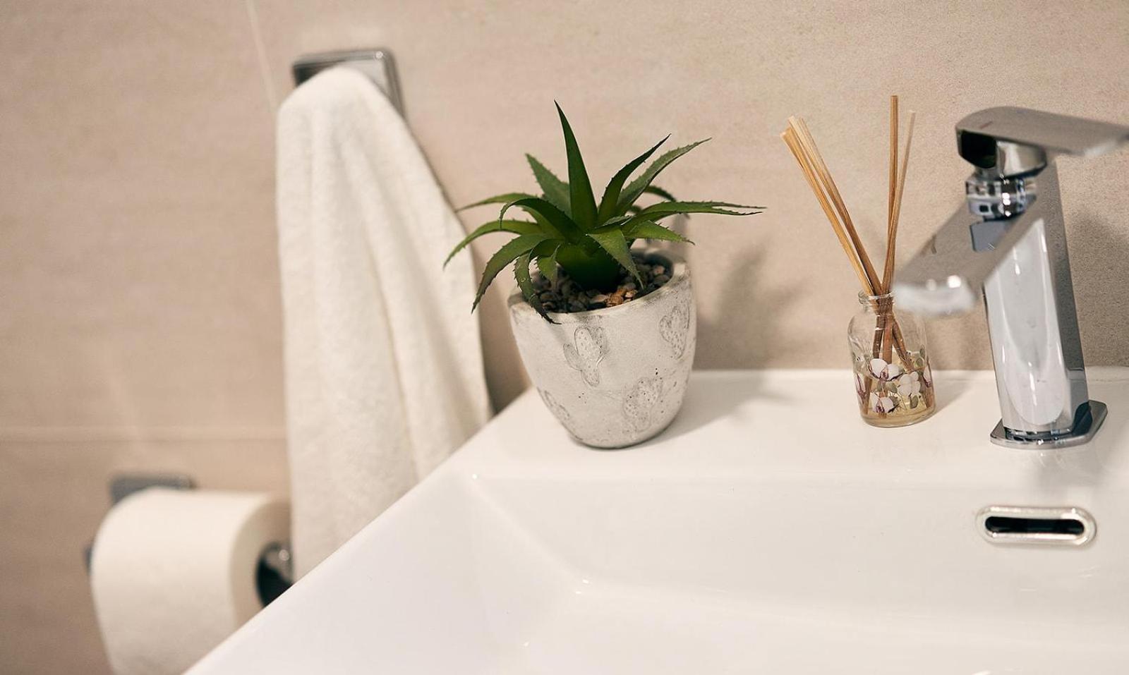 Cotton Cruz Appartement